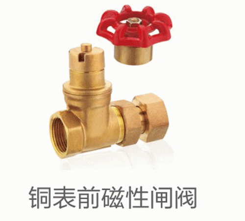 铜表前磁性闸阀
